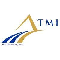 trimetals mining inc. - gold mining stock, mineral exploration company