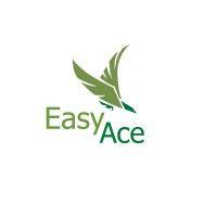 easy ace pte ltd 易英教育（新加坡） logo image