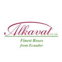 alkavat group logo image