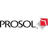 prosol inc logo image