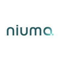 niuma srl logo image