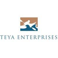 teya enterprises, llc logo image