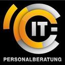 logo of It Personalberatung Dr Dienst Wenzel Gmbh Co Kg