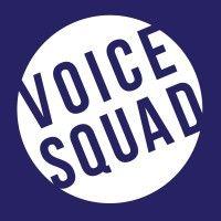 voice squad ltd logo image