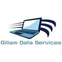 gillam data services inc logo image