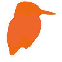 kingfisher coaching logo image