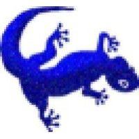 blue lizard ltd logo image