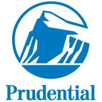 プルデンシャル・システムズ・ジャパン　prudential systems japan