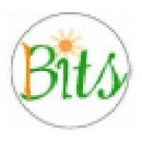 b & i tech solutions pvt. ltd. logo image