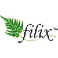 filix consulting pvt. ltd. logo image