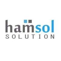 hamsol - web development & digital marketing agency logo image