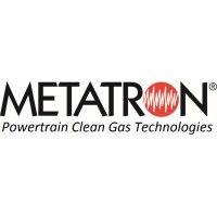 metatron s.p.a. logo image