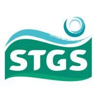 stgs - groupe sturno