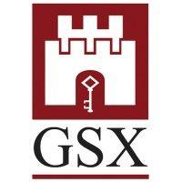 gsx group limited logo image