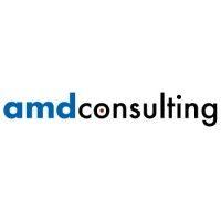 amd management consulting llp logo image