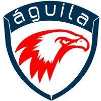 aguila consulting logo image