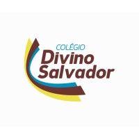 colégio divino salvador logo image