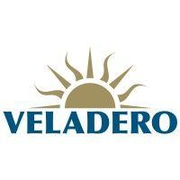 veladero logo image