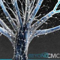 beyond cmc logo image