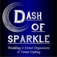 dash of sparkle logo image