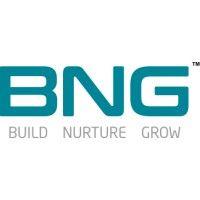 bng group logo image