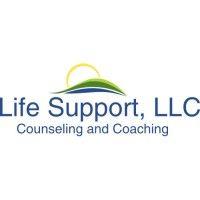 life support, llc logo image