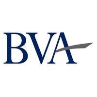 bay valuation advisors, llc logo image