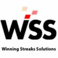 winning streak solutions logo image