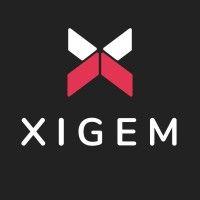 xigem technologies logo image