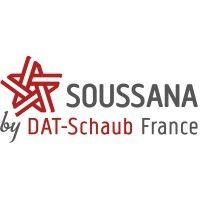 dat-schaub france logo image