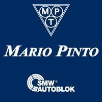 mario pinto s.p.a. logo image