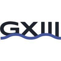 gemini xiii logo image