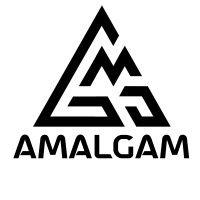 amalgam corp logo image