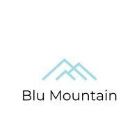 blu mountain logo image