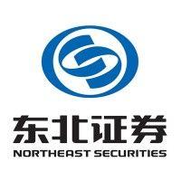 northeast securities co., ltd. logo image