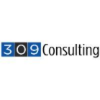 309 consulting logo image