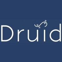 druid sport logo image