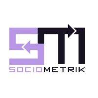 sociometrik: ai-powered retail & location intelligence logo image