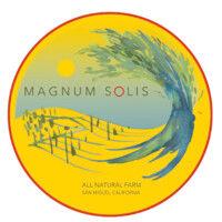 magnum solis logo image