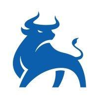 ragingbull logo image