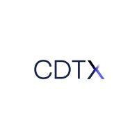 consorcio dtx logo image