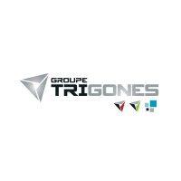 groupe trigones logo image