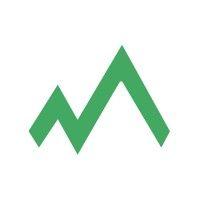 mountainise inc logo image