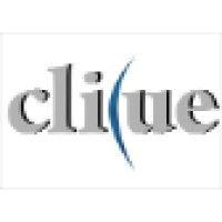 clicue it solutions pvt ltd logo image