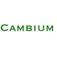 cambium logo image