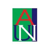 american university of nigeria