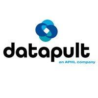 datapult logo image