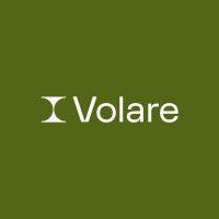 volare solutions logo image