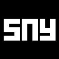 saint new york logo image