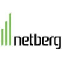 netberg, llc logo image